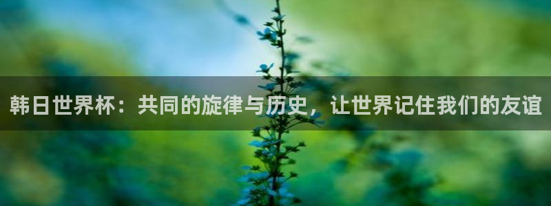 2026世界杯日期：韩日世界杯：共同的旋律与历史，让世界记住我们的友谊