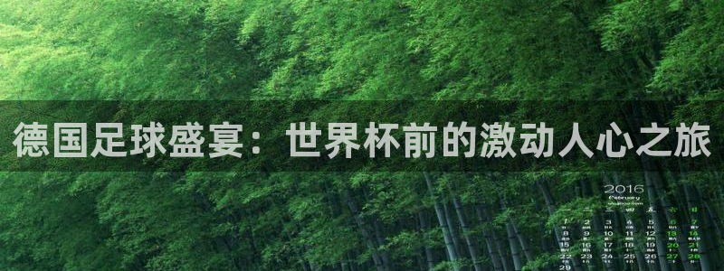 2026世界杯：德国足球盛宴：世界杯前的激动人心之旅
