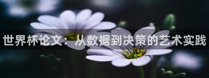 2026年世界杯时间表：世界杯论文：从数据到决策的艺术实践