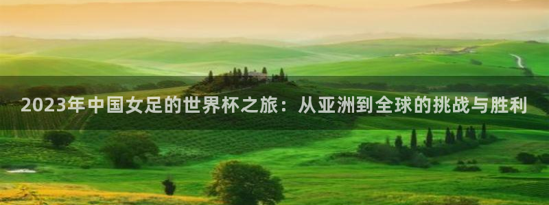 世界杯欧洲区预选赛：2023年中国女足的世界杯之旅：从亚洲到全球的挑战与胜利