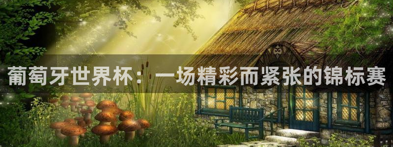 世界杯亚洲区预选赛：葡萄牙世界杯：一场精彩而紧张的锦标赛