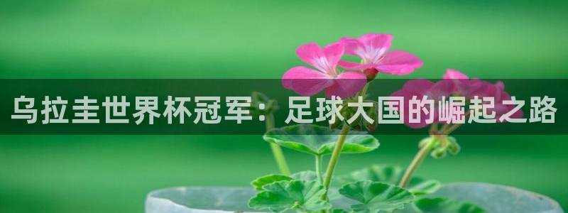 世界杯 中国：乌拉圭世界杯冠军：足球大国的崛起之路