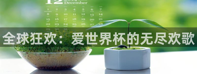 2026世界杯南美区积分榜：全球狂欢：爱世界杯的无尽欢歌