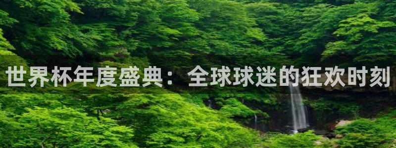 世界杯直播网：世界杯年度盛典：全球球迷的狂欢时刻