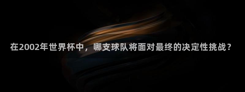 世界杯2026预选赛：在2002年世界杯中，哪支球队将面对最终的决定性挑战？
