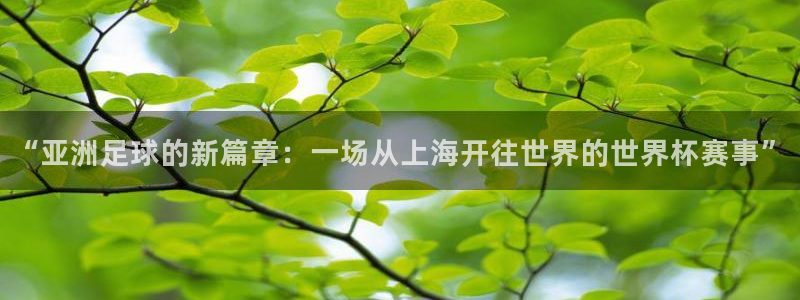 世界杯转播表：“亚洲足球的新篇章：一场从上海开往世界的世界杯赛事”