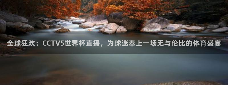 世界杯预选赛：全球狂欢：CCTV5世界杯直播，为球迷奉上一场无与伦比的体育盛宴