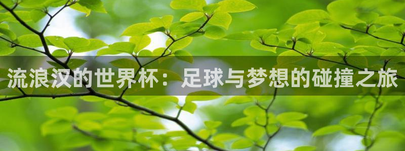 2026年足球世界杯赛程时间表：流浪汉的世界杯：足球与梦想的碰撞之旅