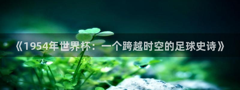 世界杯足球直播：《1954年世界杯：一个跨越时空的足球史诗》