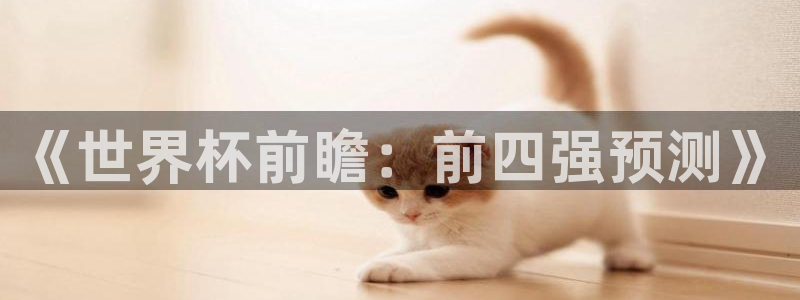 世界杯：《世界杯前瞻：前四强预测》